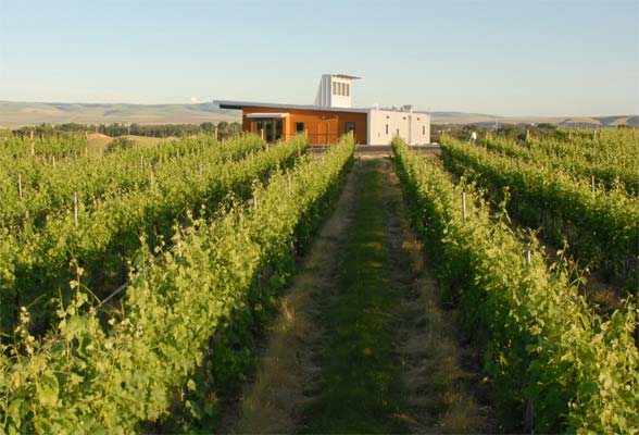 cellars